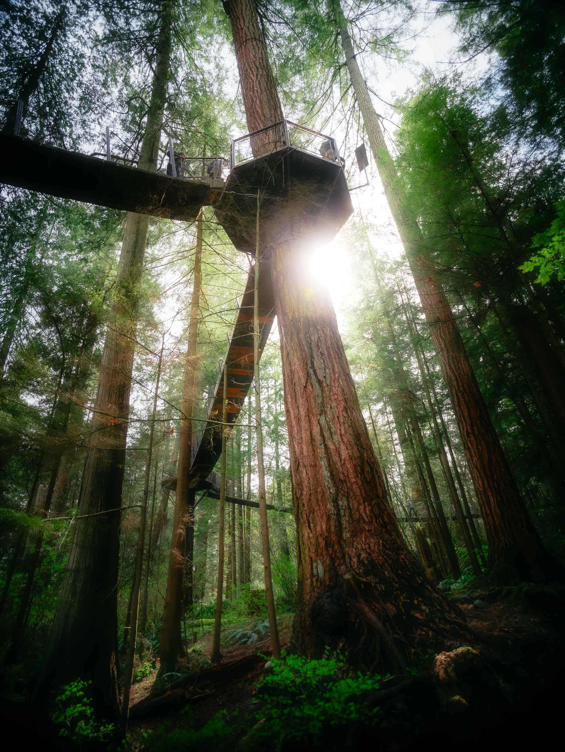 Capilano Suspension Bridge Park 2022
