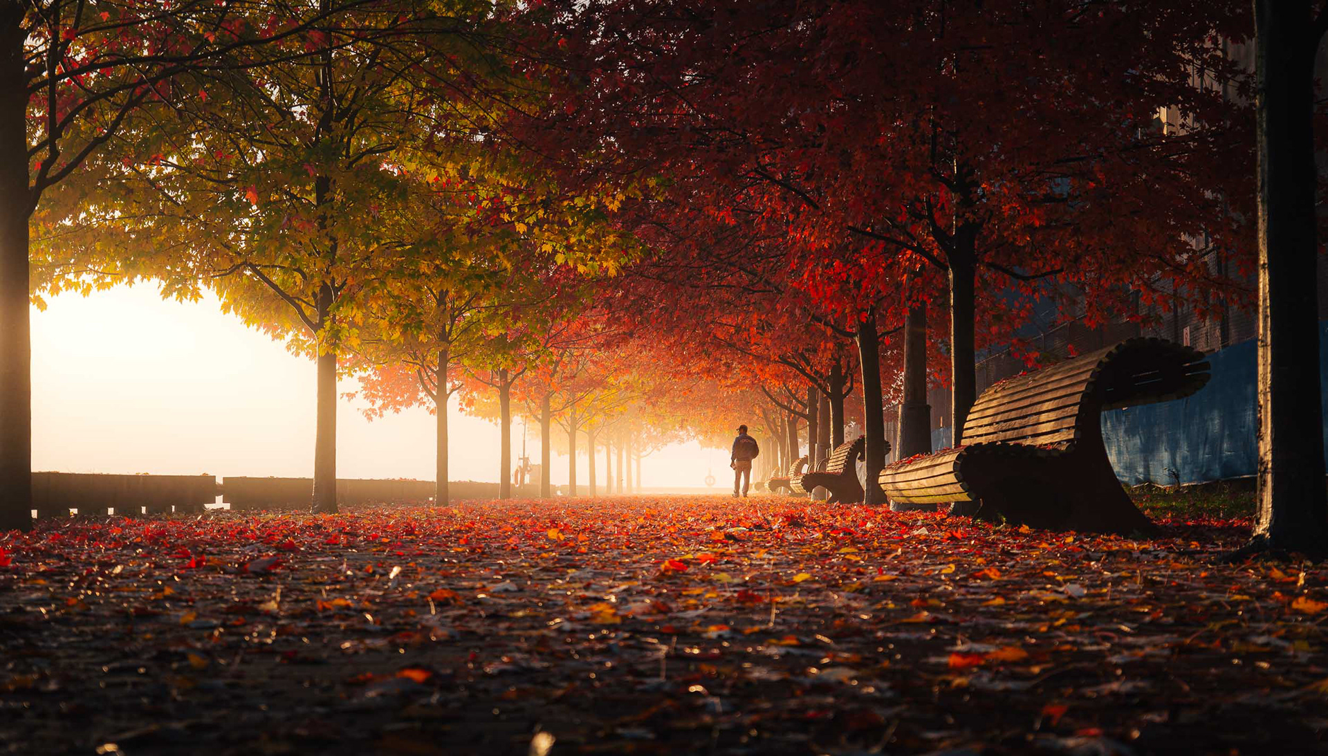 Ireland Park 2022