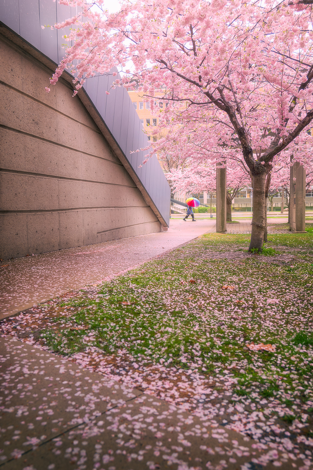 UofT Campus 2024