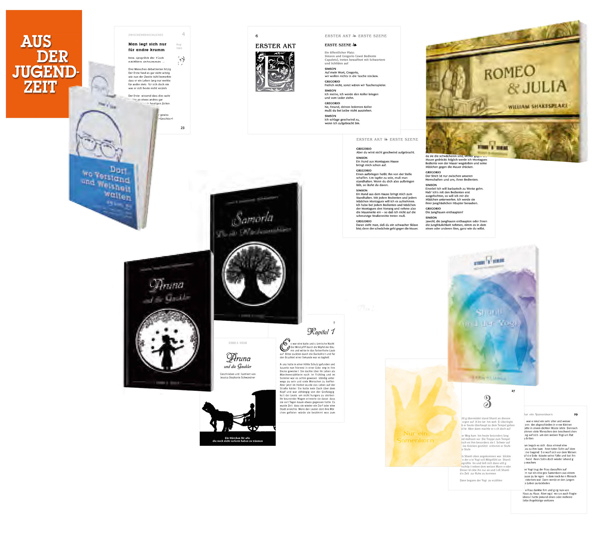 Buch-Cover/Satz Großdruck-Verlag