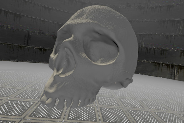The Skull