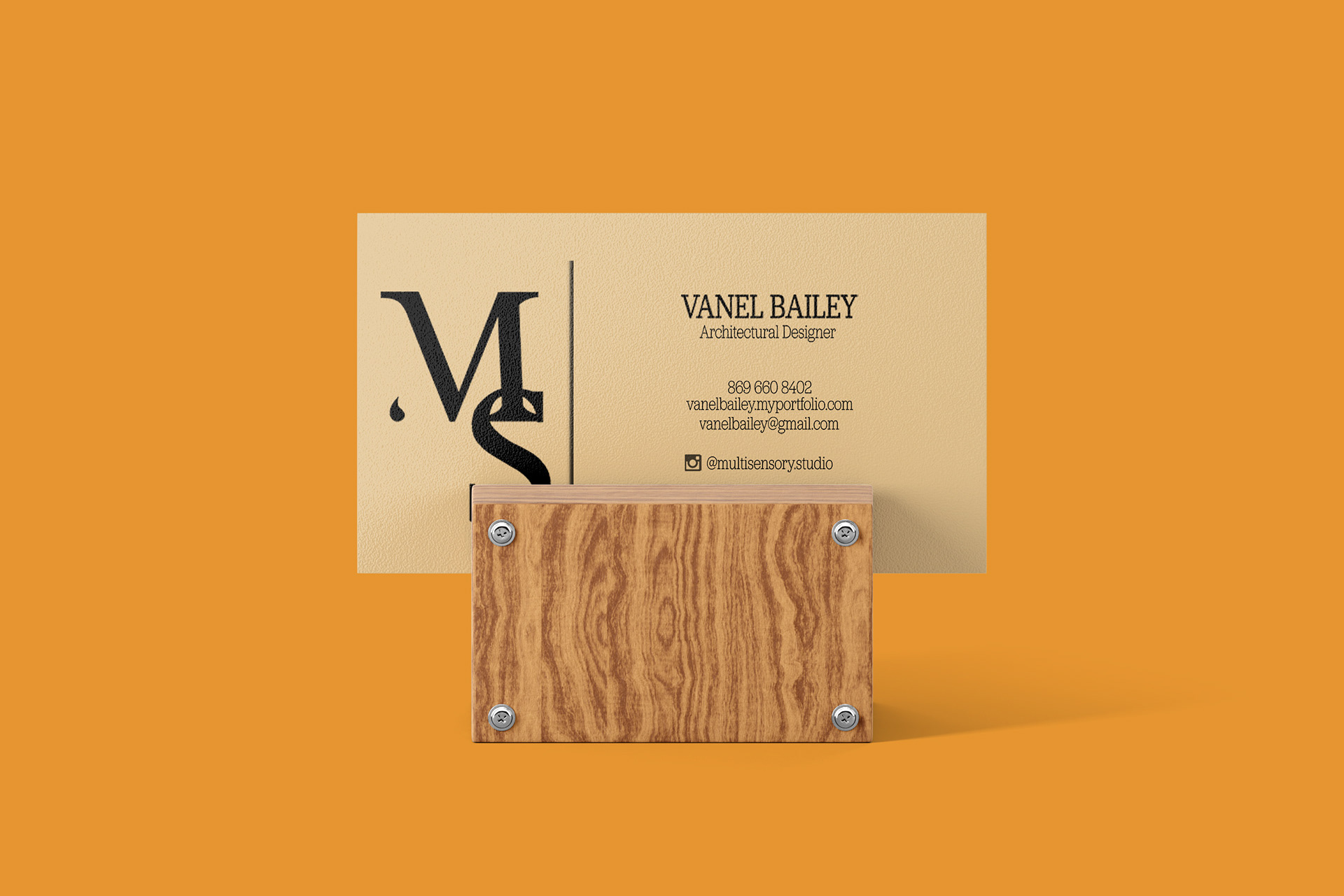 Multi Sensory Studio- Vanel Bailey