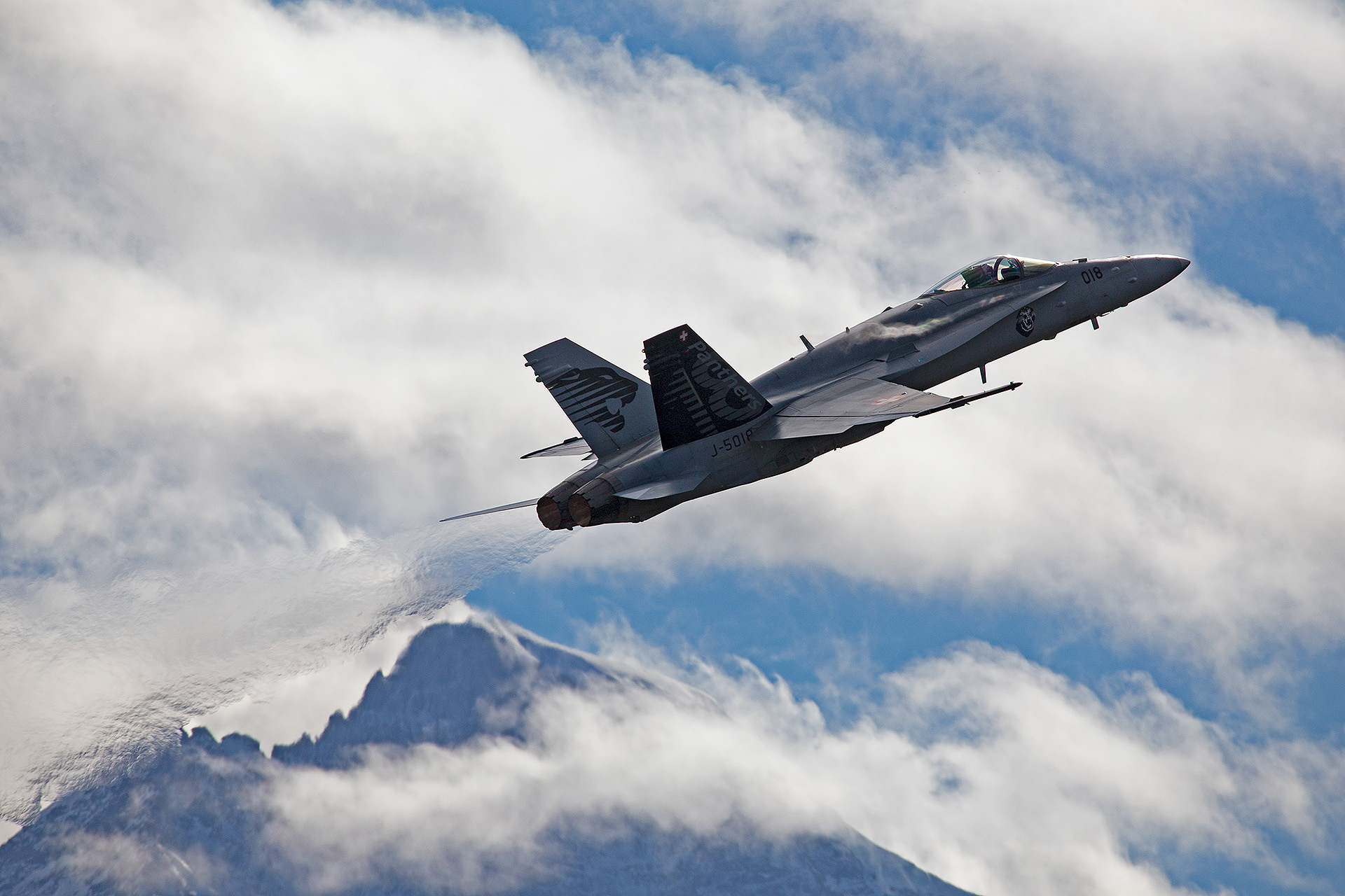 McDonnell Douglas F/A-18C Hornet.  Axlp, Switzerland.