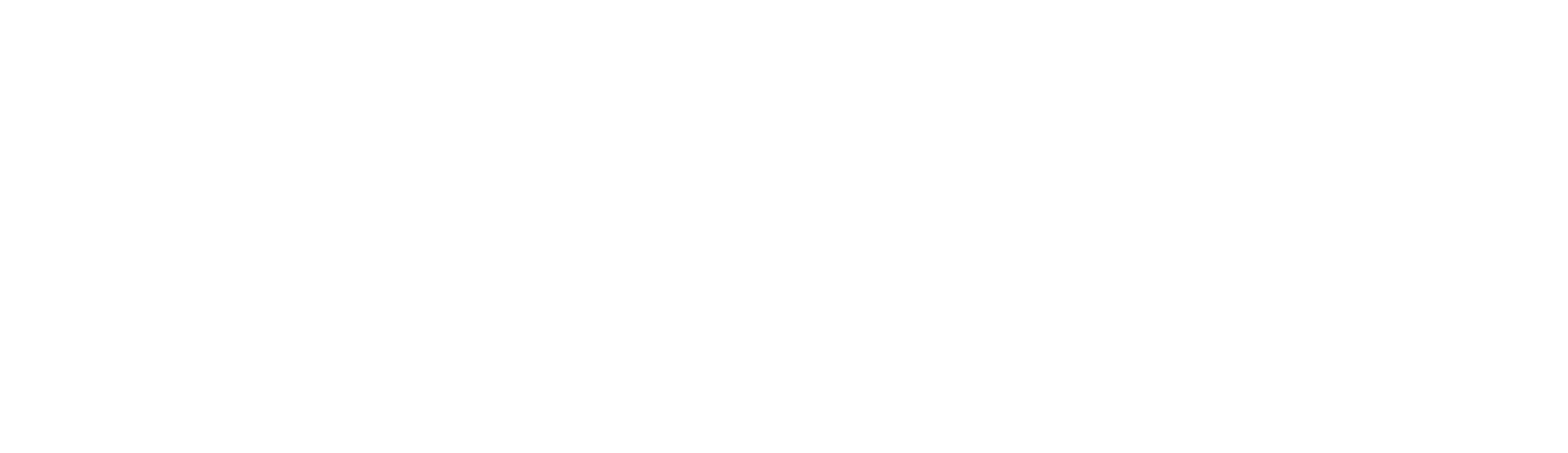 Shevchyk.net
