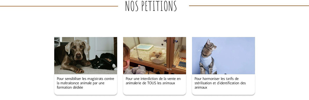 Les Pétitions