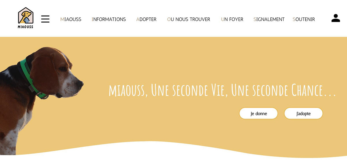Accueil du Site