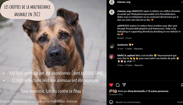 Post sur Instagram