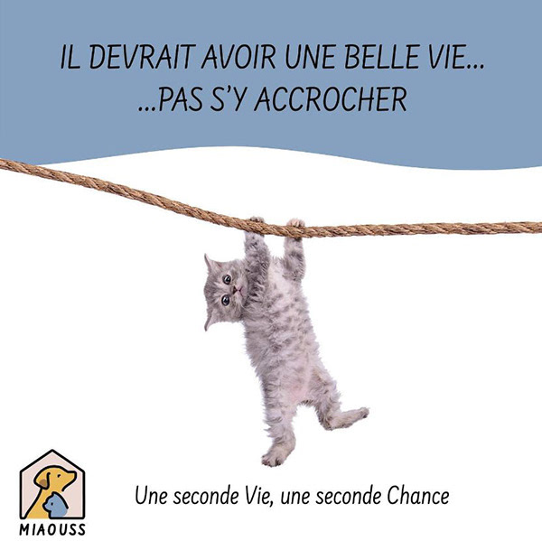 Affiche Publicitaire