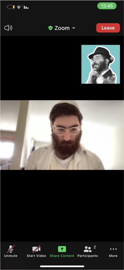 Screen sharing mode