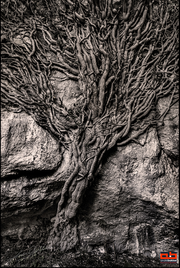 Vikos Gorge / Greece