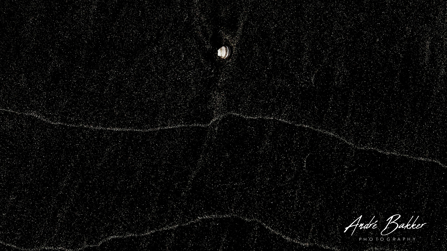 de Wadden / The Netherlands