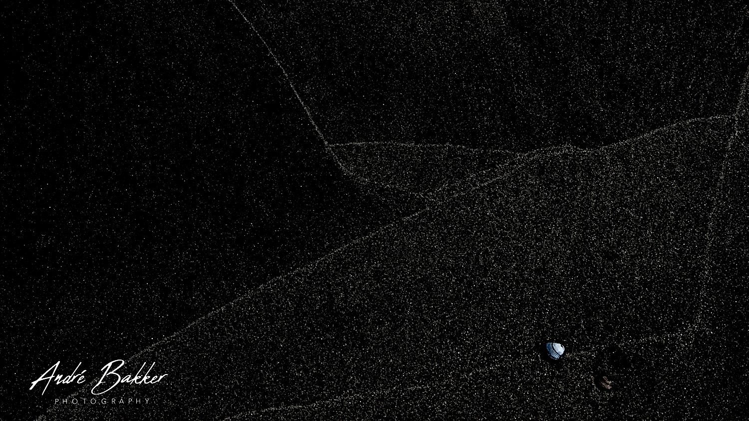 de Wadden / The Netherlands