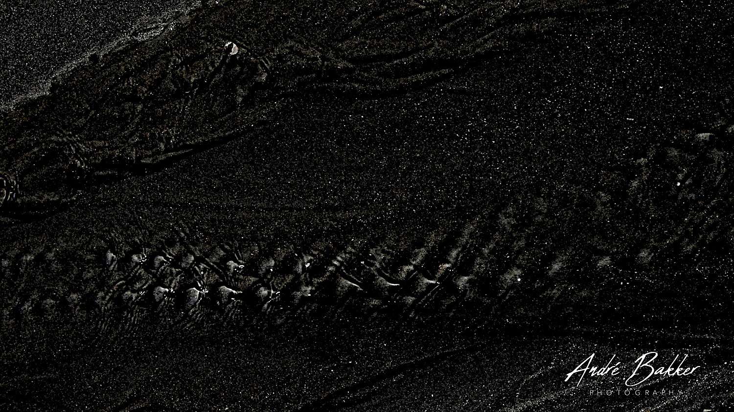 de Wadden / The Netherlands