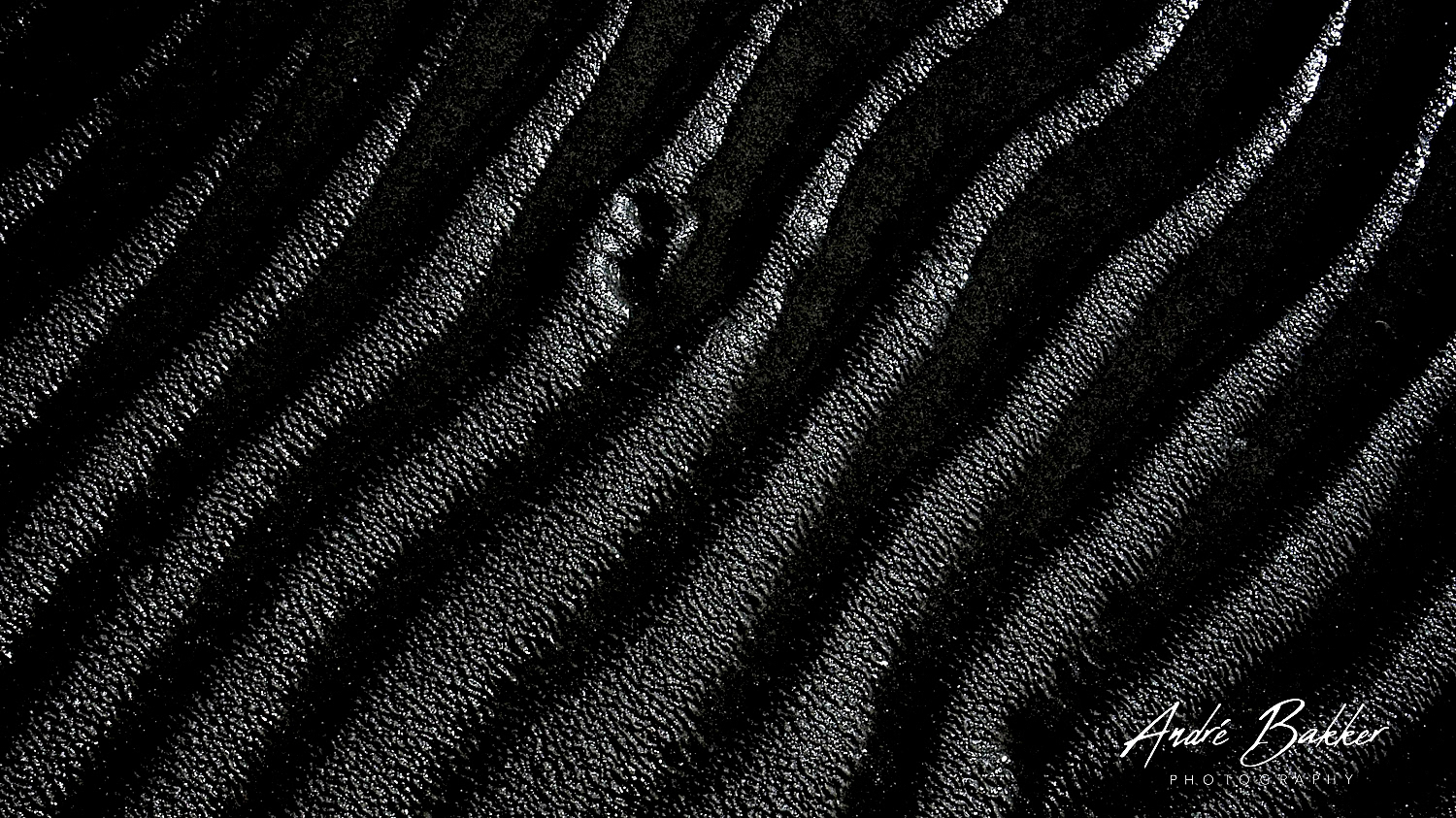 de Wadden / The Netherlands