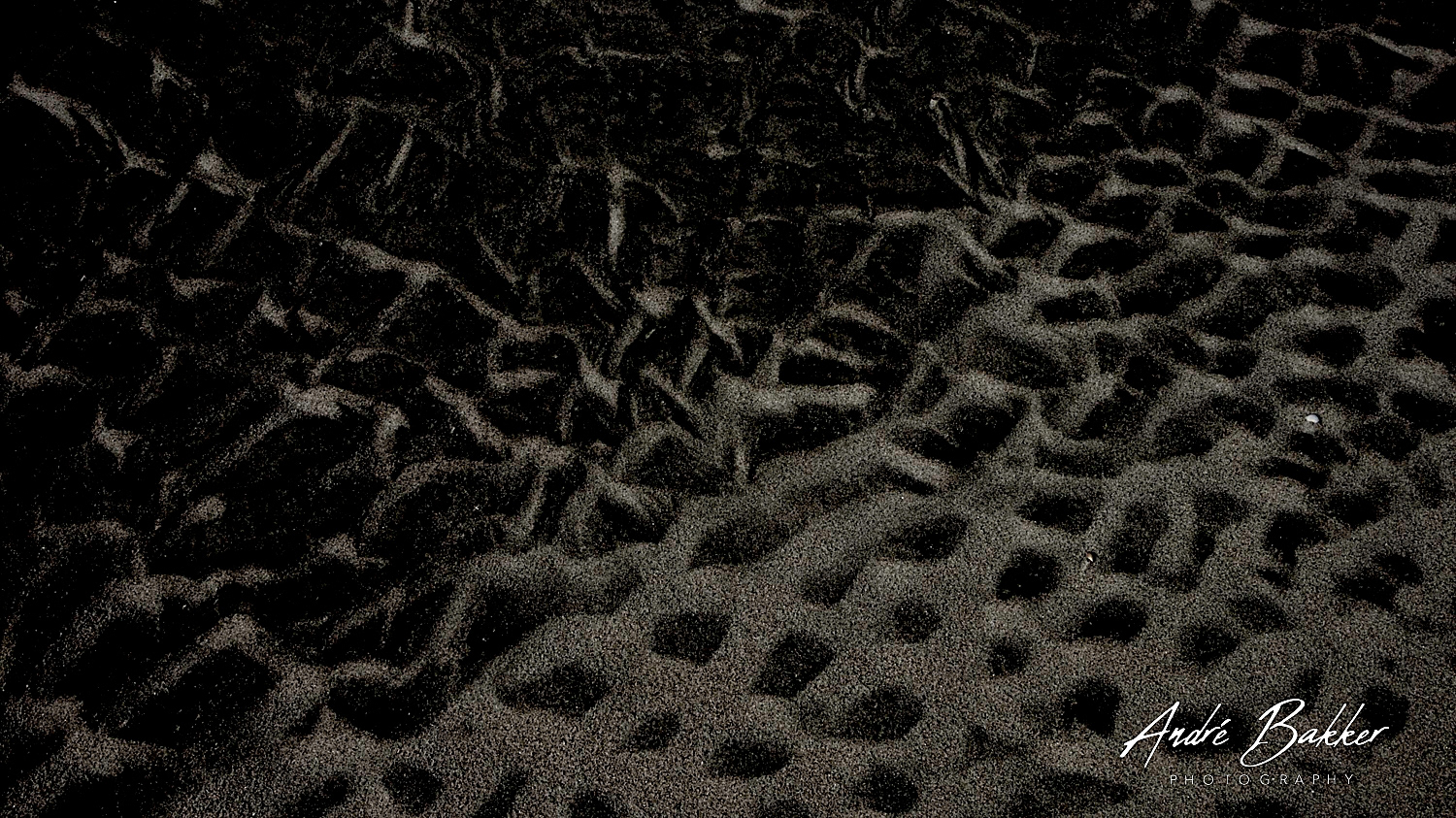 de Wadden / The Netherlands