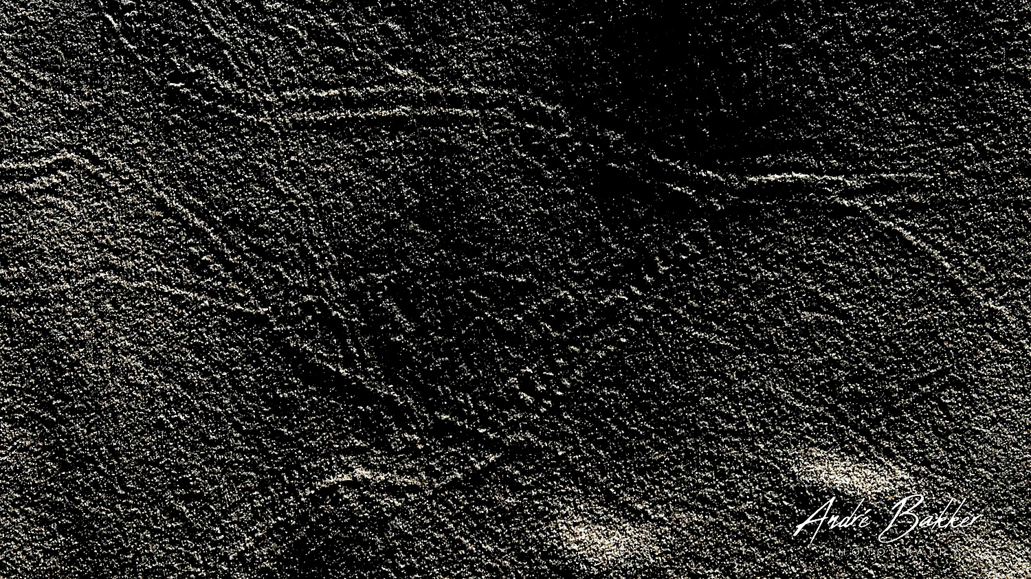 de Wadden / The Netherlands