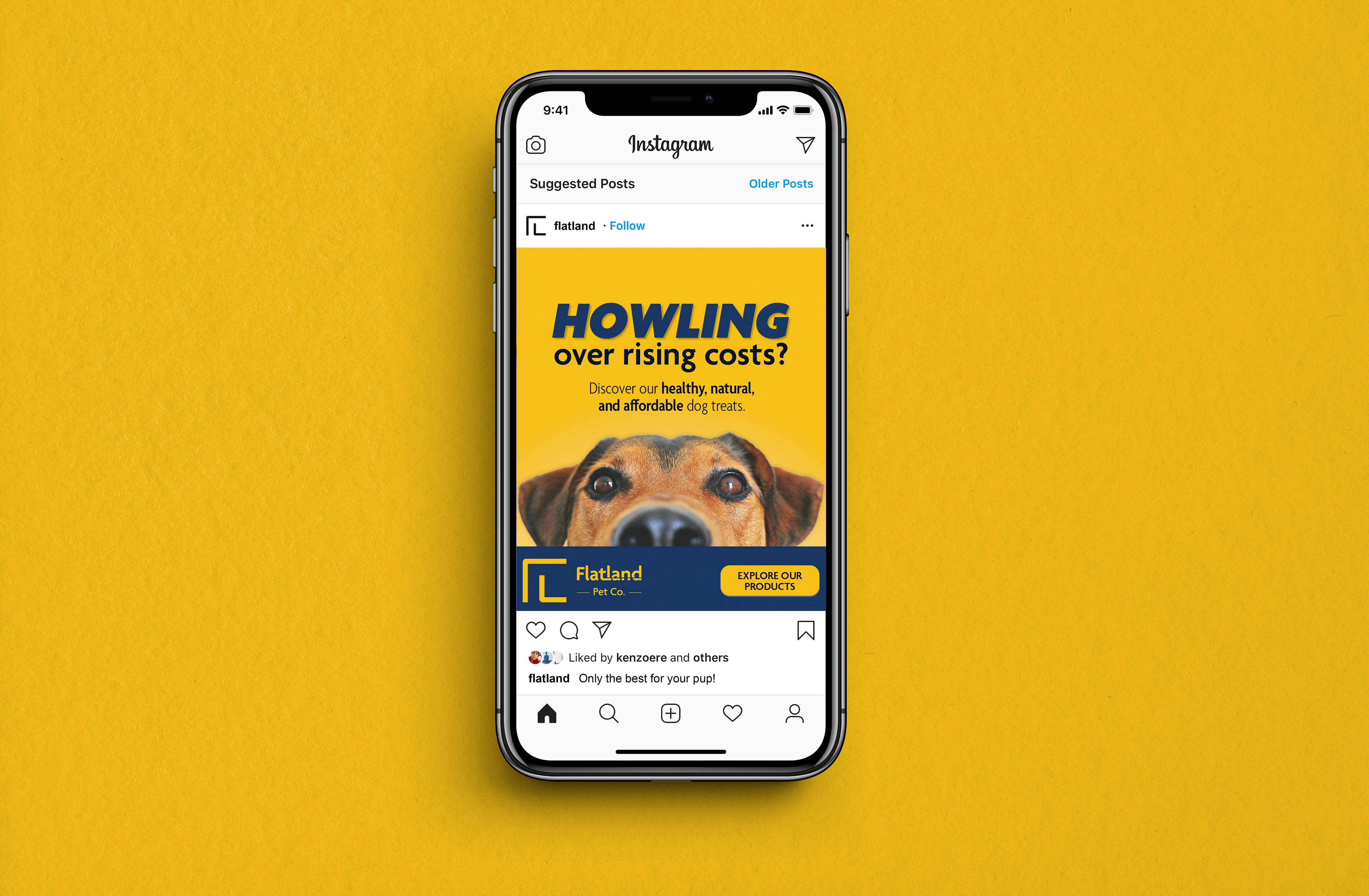 A mockup of a digital ad for Flatland Pet Co. The headline says "Howling Over Rising Costs" and the sub-head says "Discover our healthy, natural and affordable dog treats."
