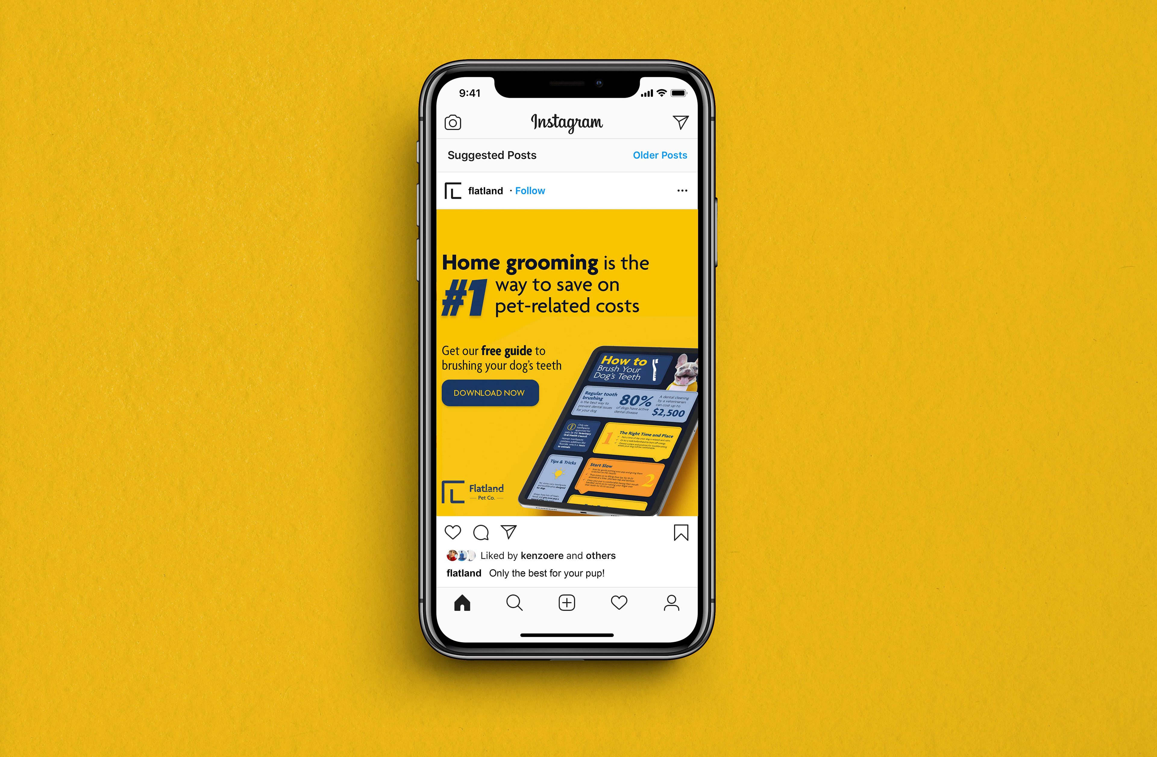 A mockup of a digital ad for Flatland Pet Co. The headline says "Home grooming is the number 1 way to save on pet related costs" and the sub-head says "Get our free guide to brusing your dog's teeth."