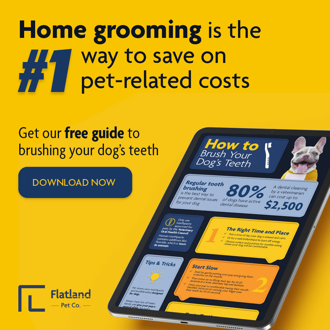 A digital ad for Flatland Pet Co. The headline says "Home grooming is the number 1 way to save on pet related costs" and the sub-head says "Get our free guide to brusing your dog's teeth."