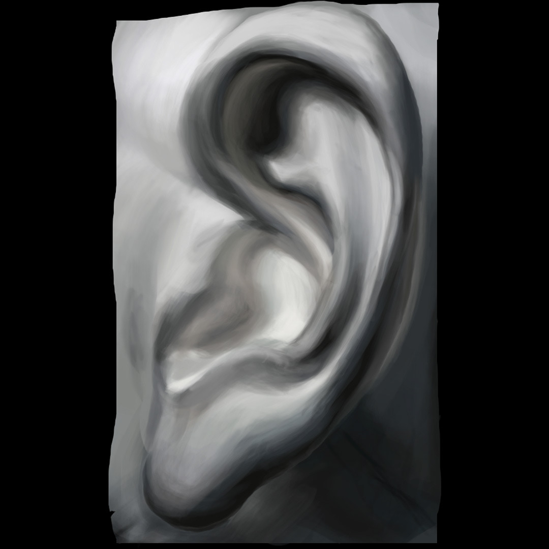 Ear Cast Studiy in Digital Paint, November 2018