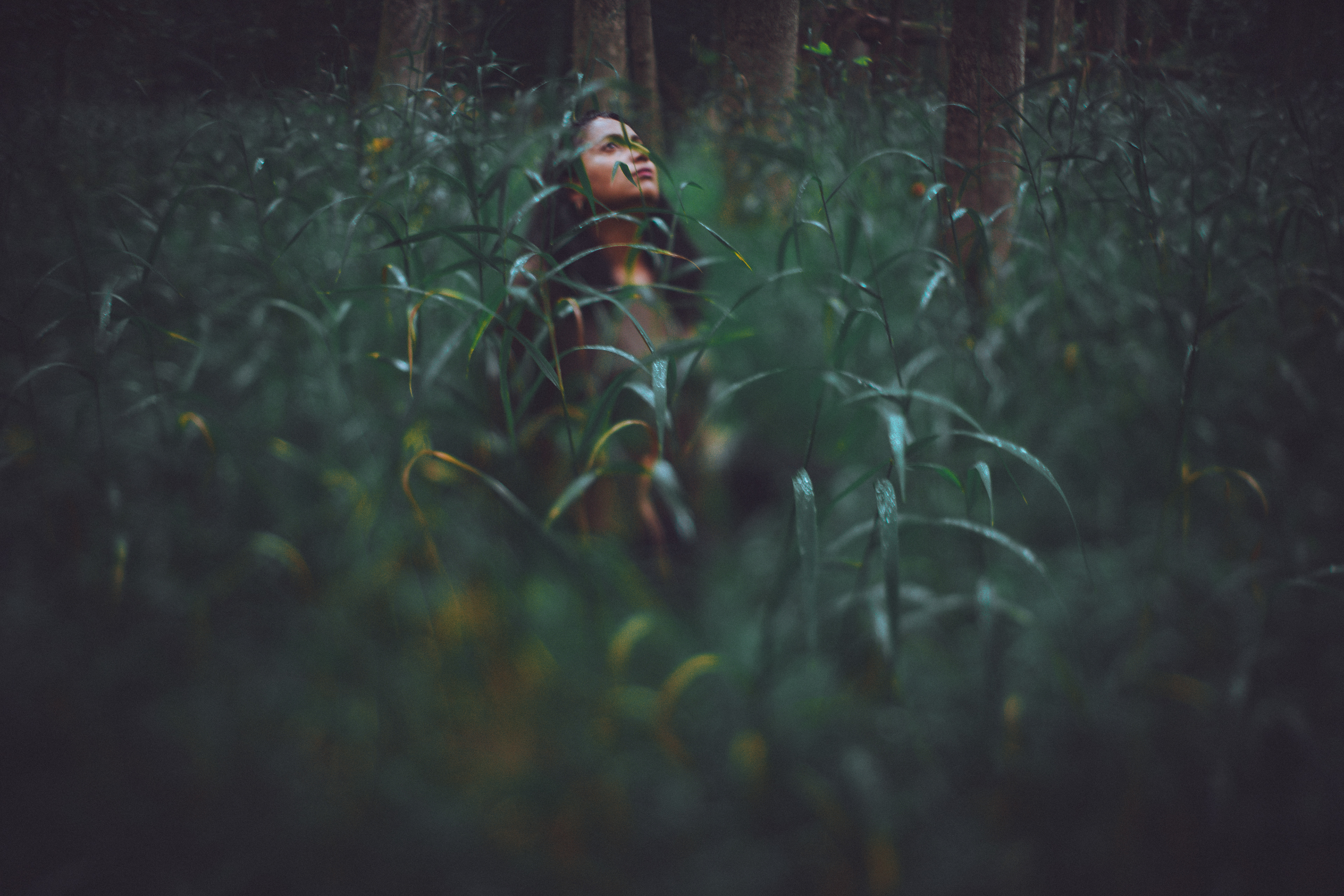Rising from the Grasses