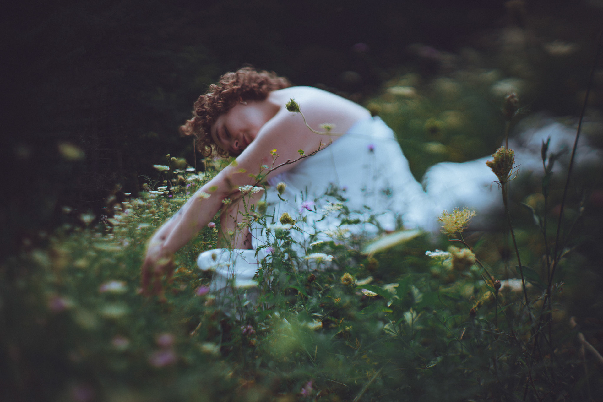 Dreams Among the Bishop's Lace