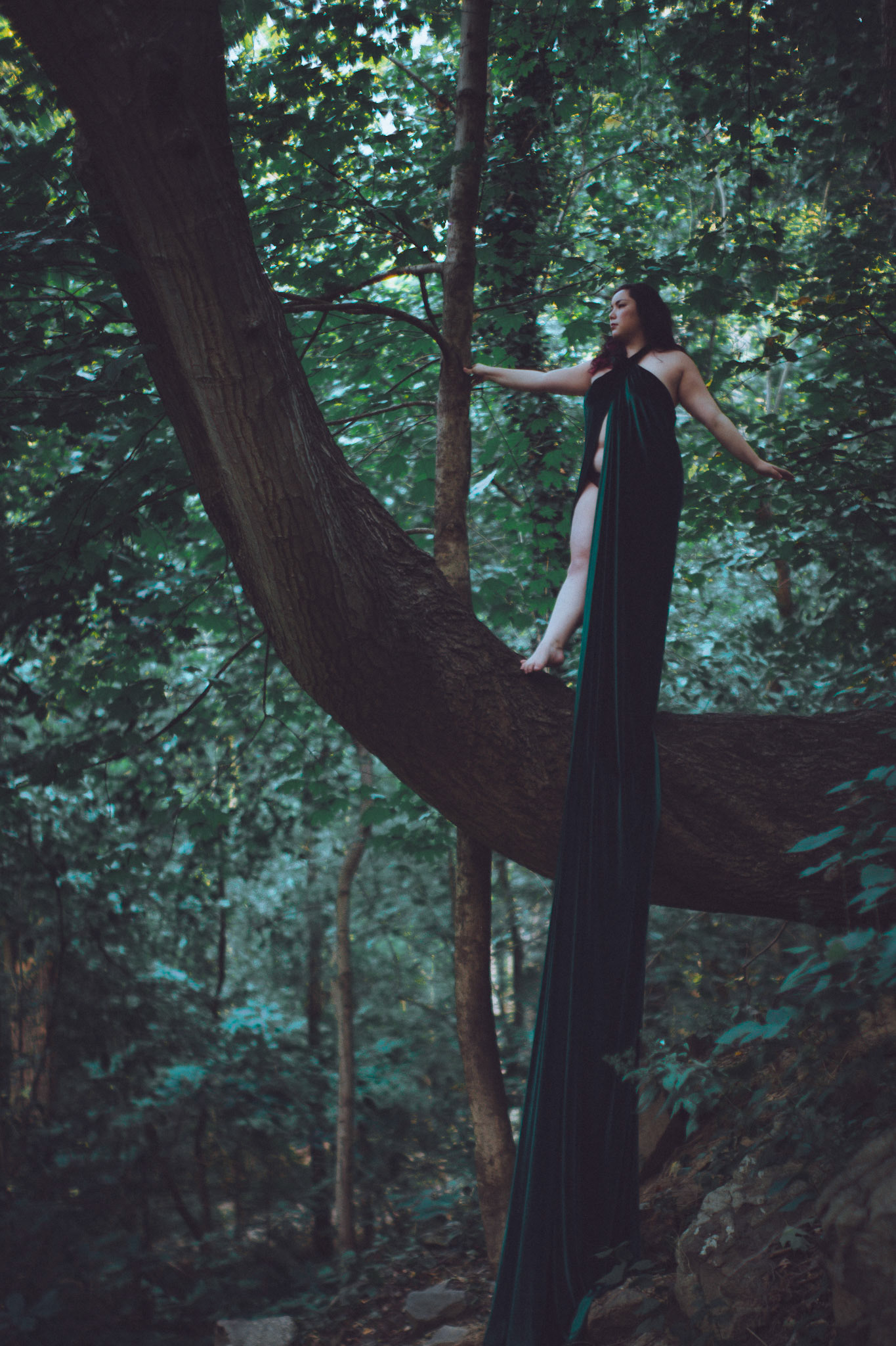 She Among the Trees