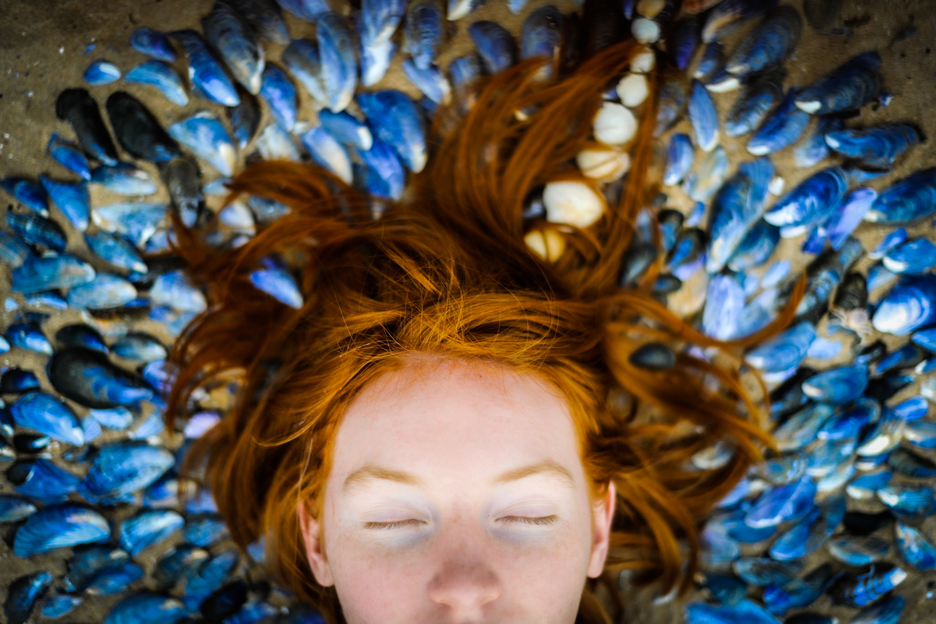Seashell Dreams