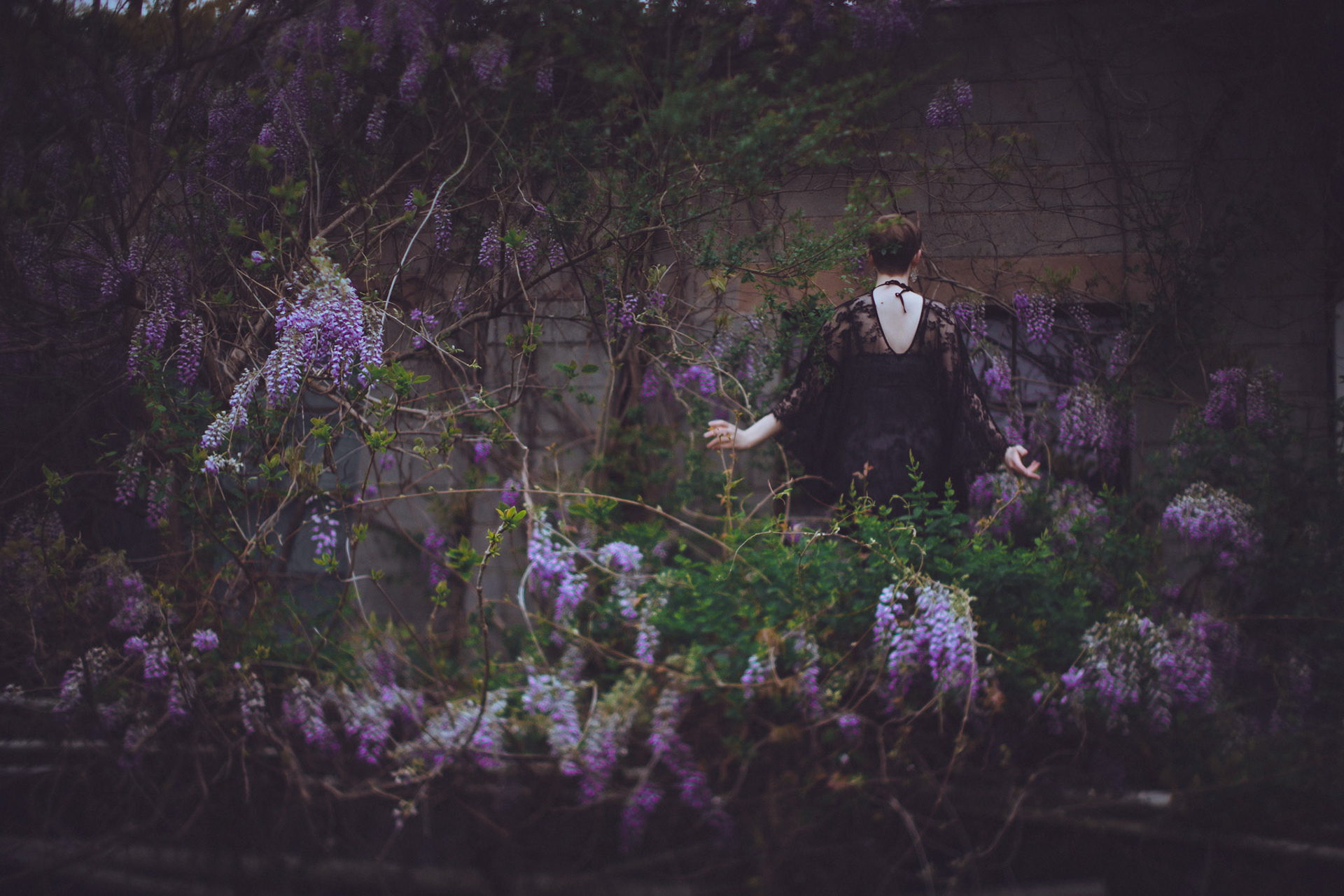Blooming Backwoods