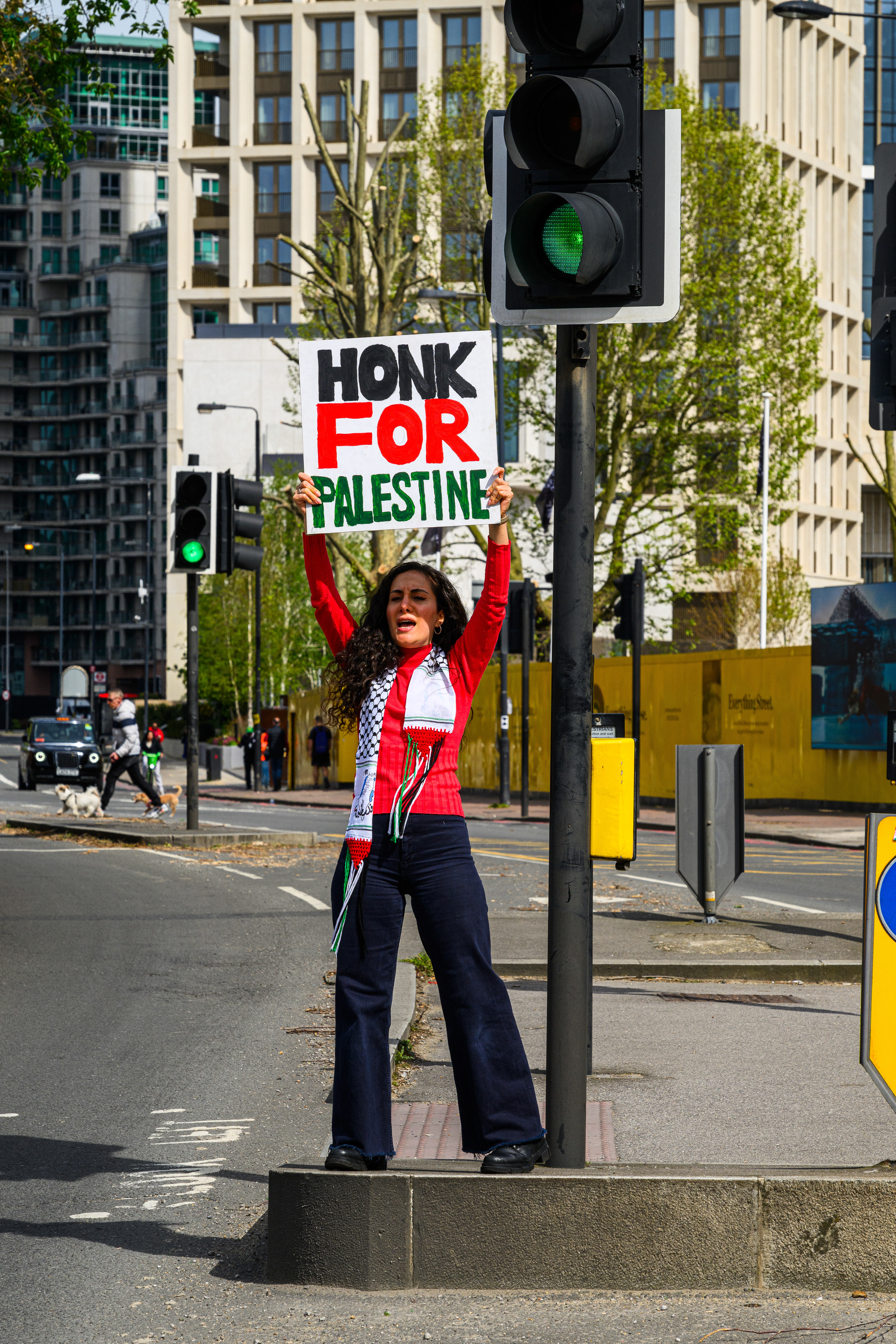 A roadside protester holds a placard asking drivers to honk for Palestine