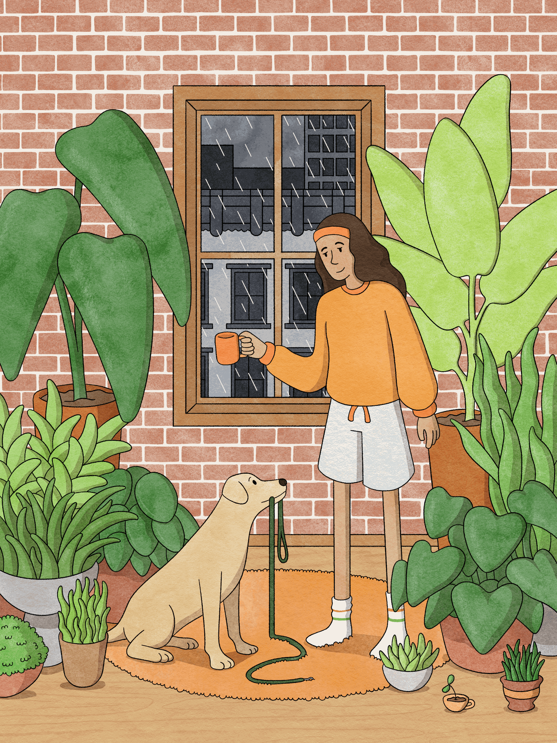 Rainy Day