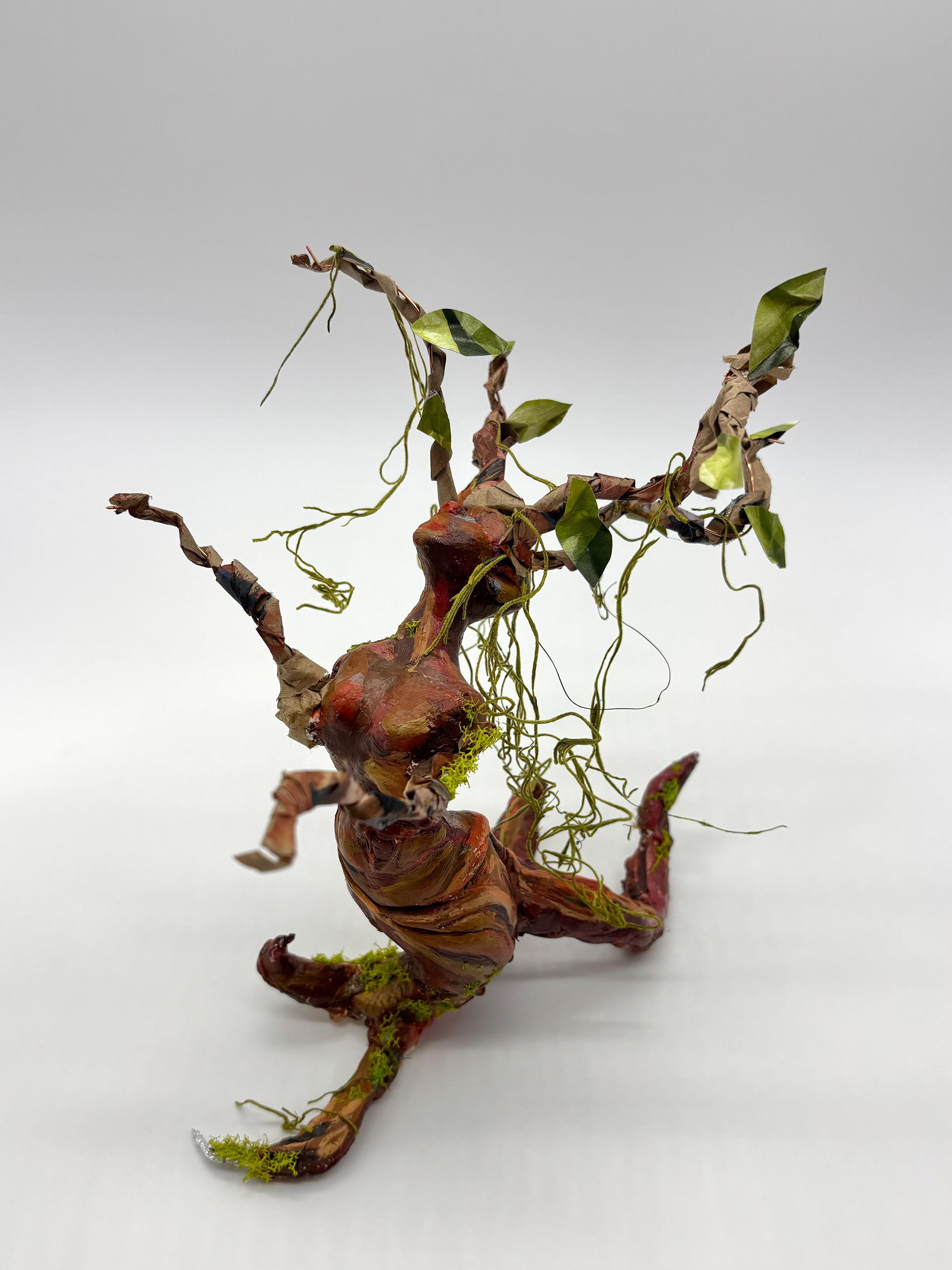 Dance of the Whistling Tree