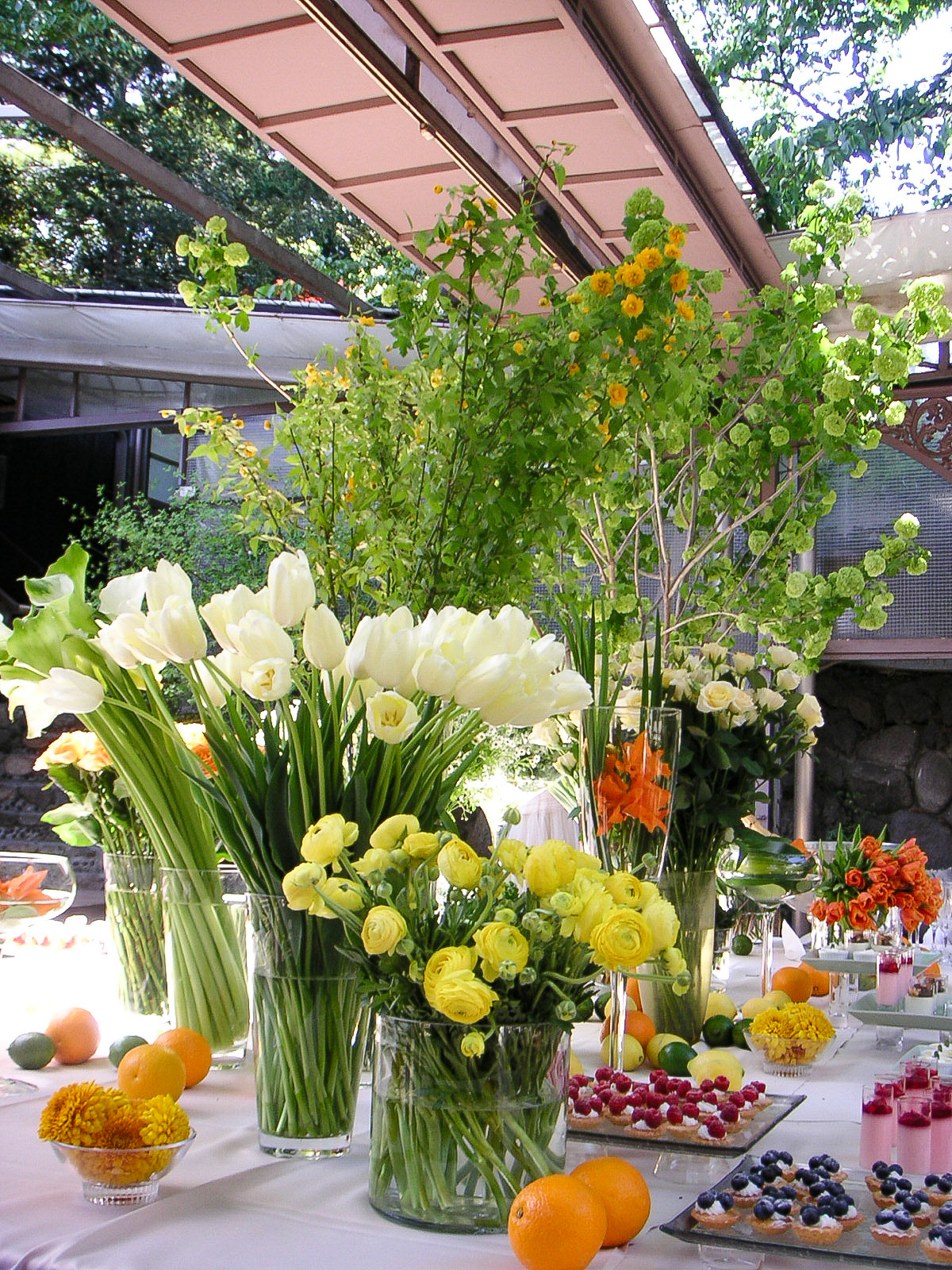 KONICA MINOLTA DIGITAL CAMERA