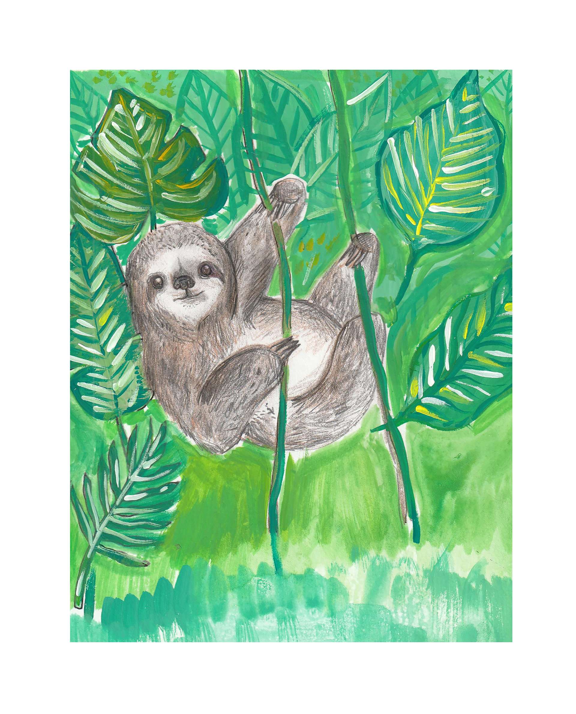 Tropical sloth - colour pencils + Acrylic 