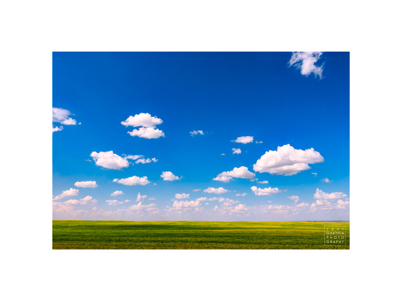Alberta Bliss - Fine Art Photography artwork. Green prairies in front of a blue prairies sky with some white, small puffy clouds on a summer day.