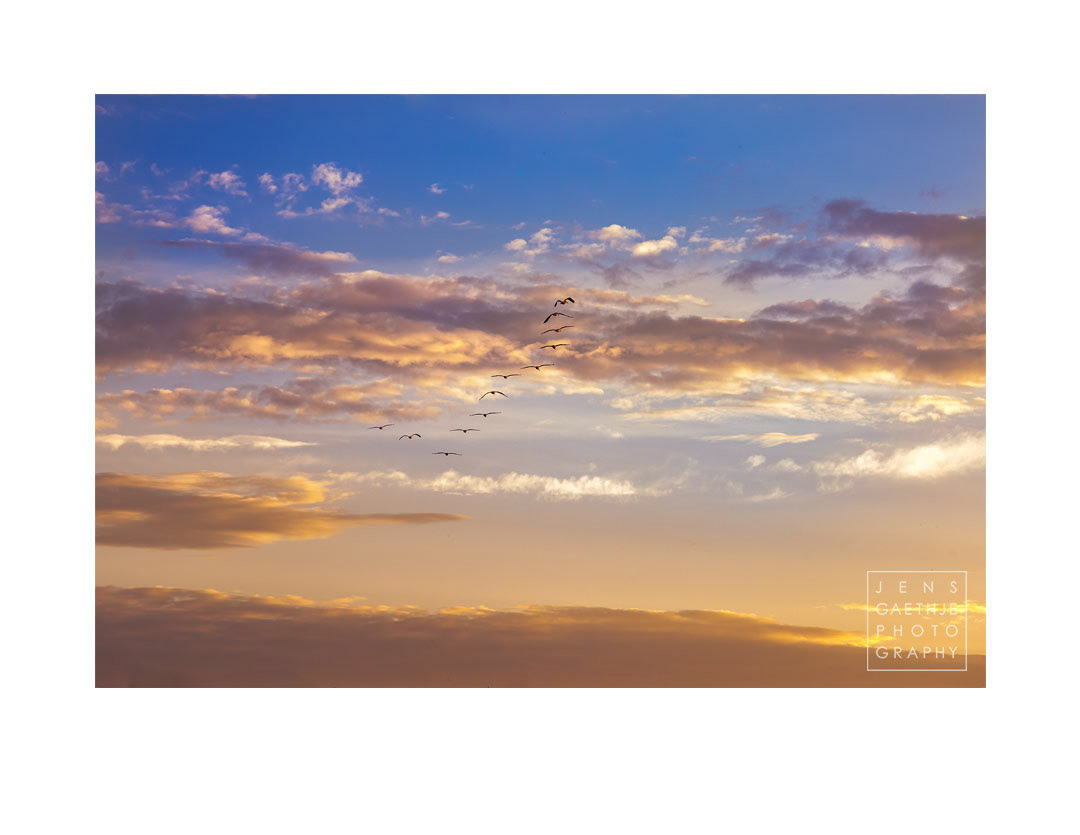 Serenity 1 - Jens Gaethje Photography Fine Art Print