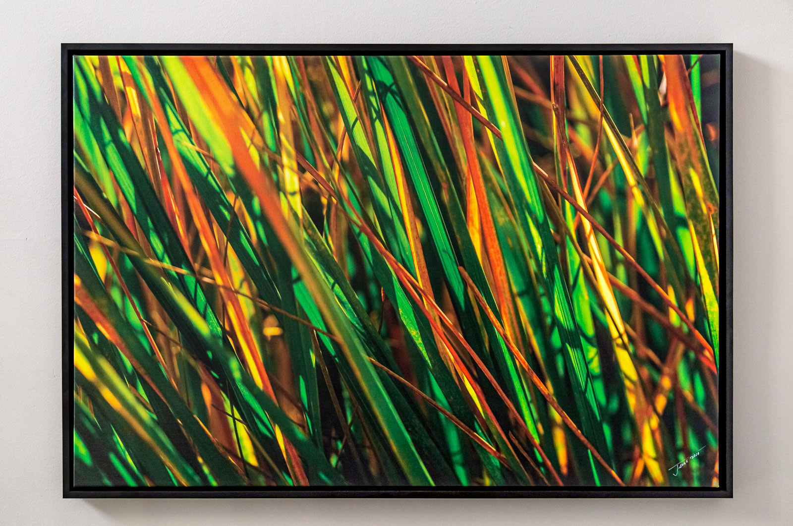 Prairie Grass Fine Art Canvas Print