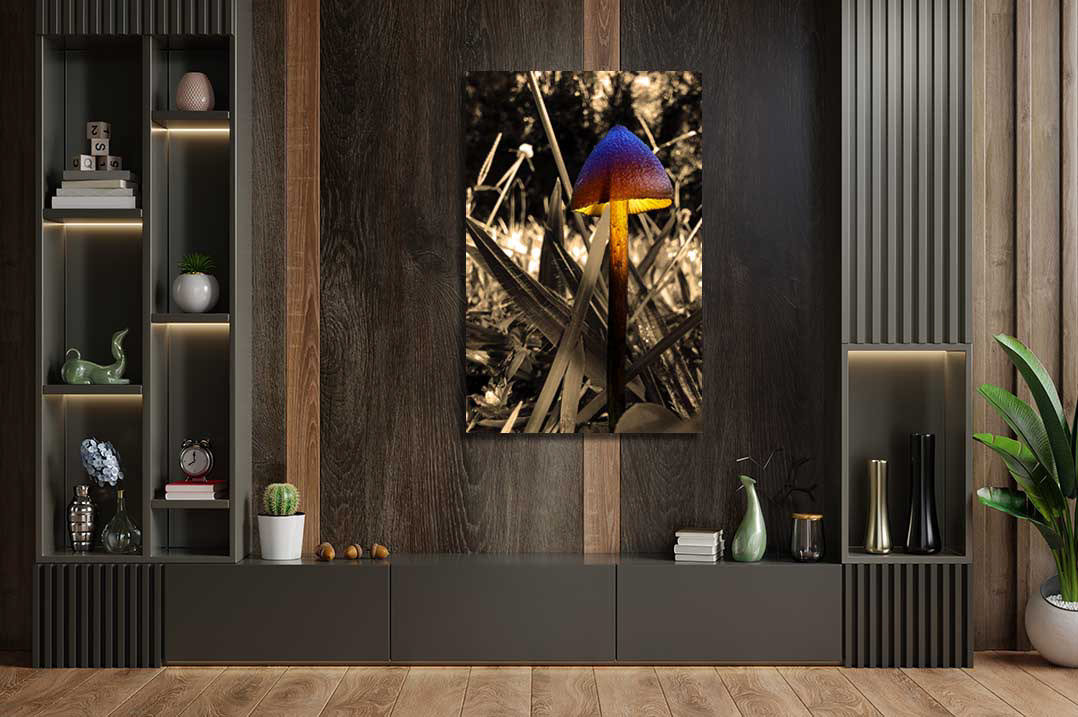 “Luminous Mushroom”