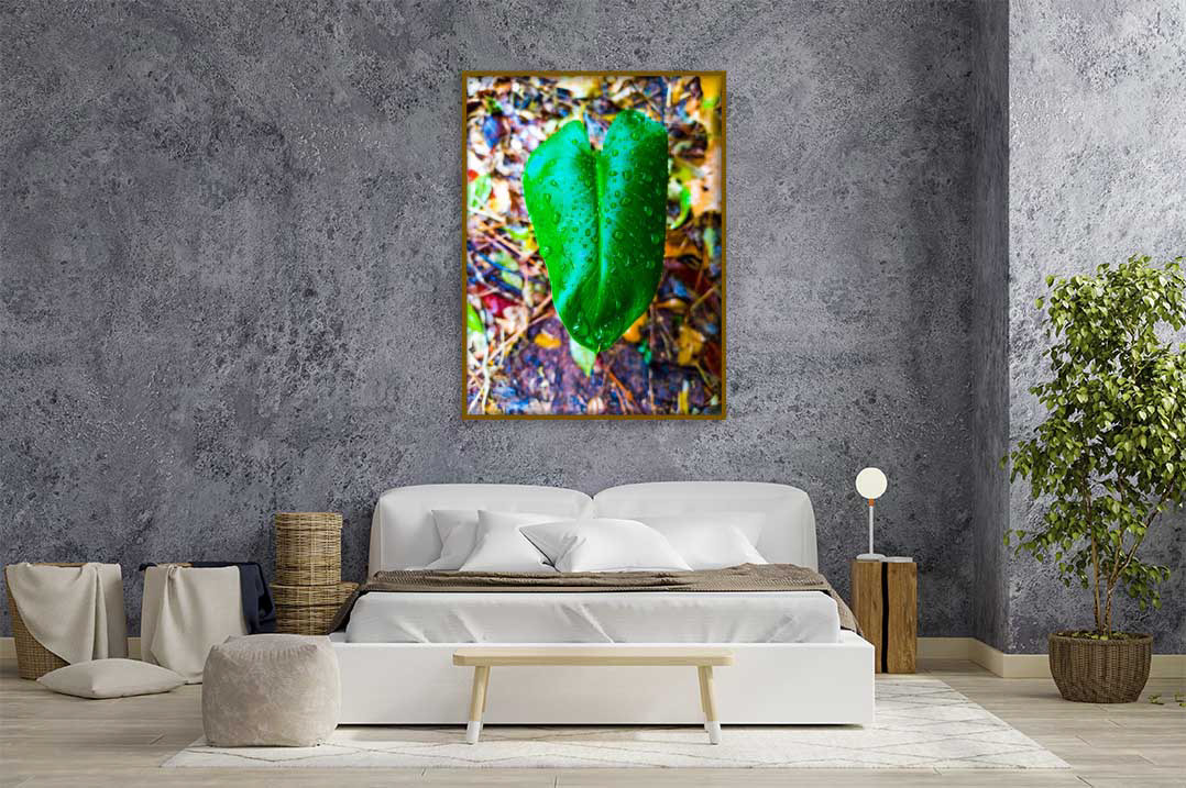 “Beautiful Leaf"