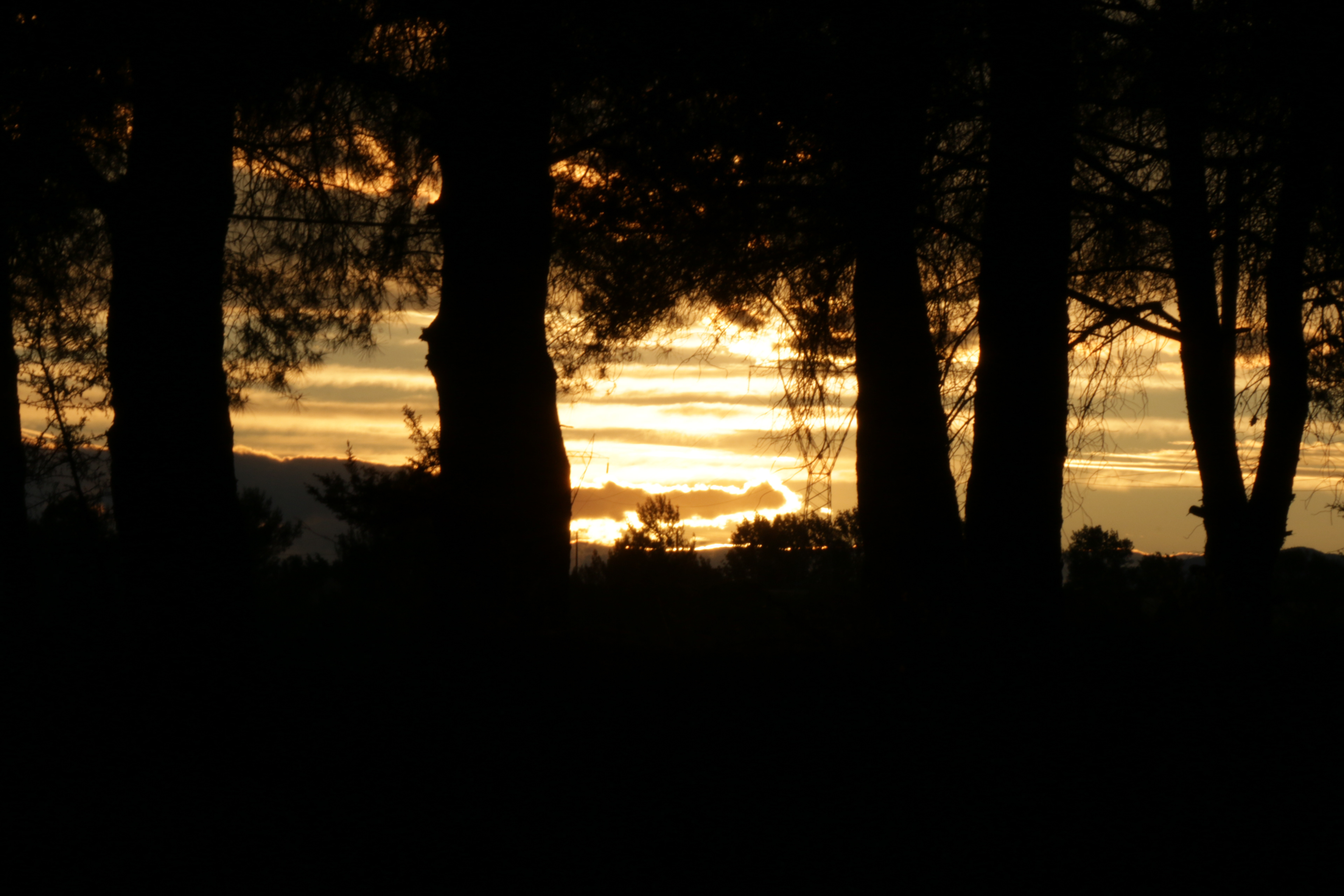 Dawn