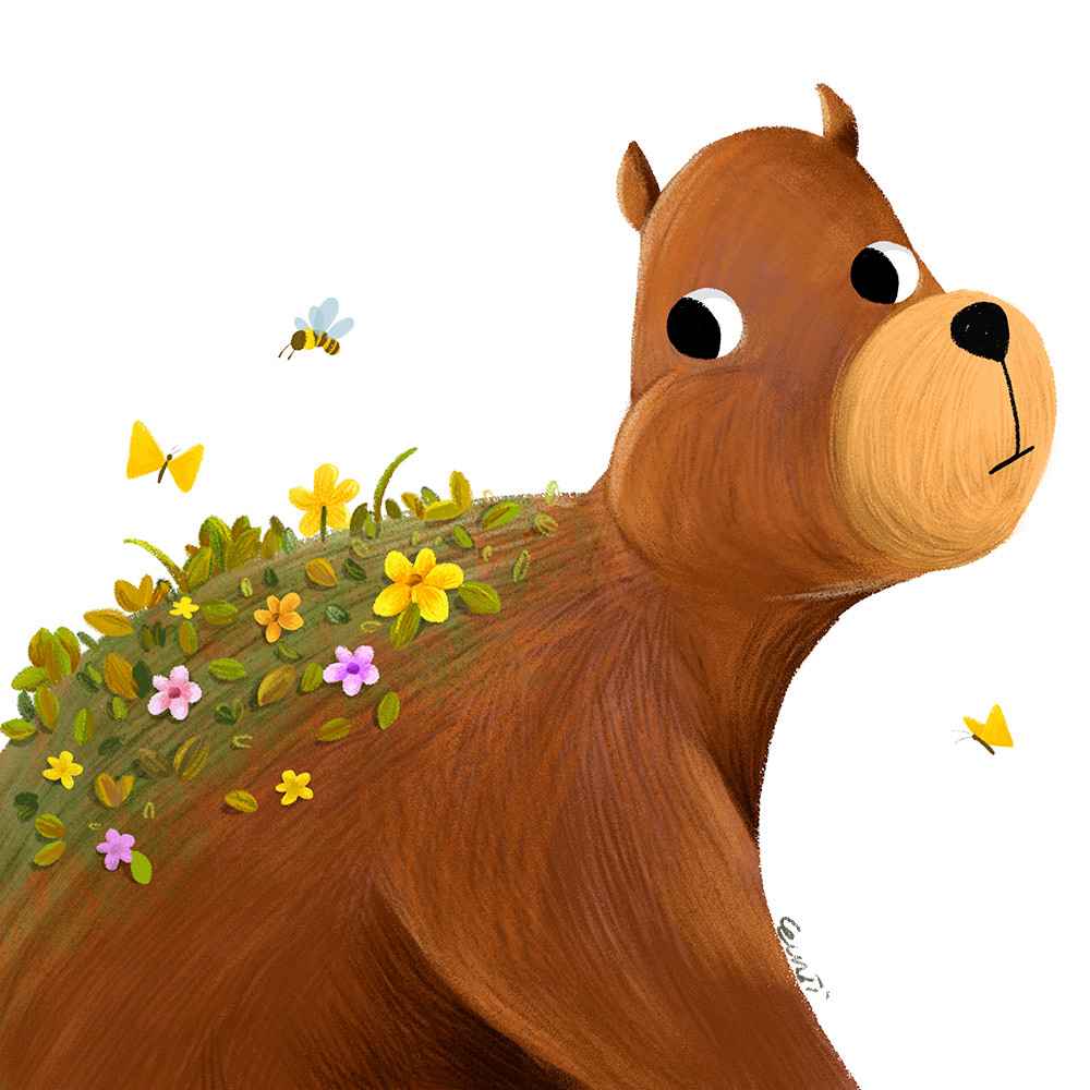 A bear, Personal work