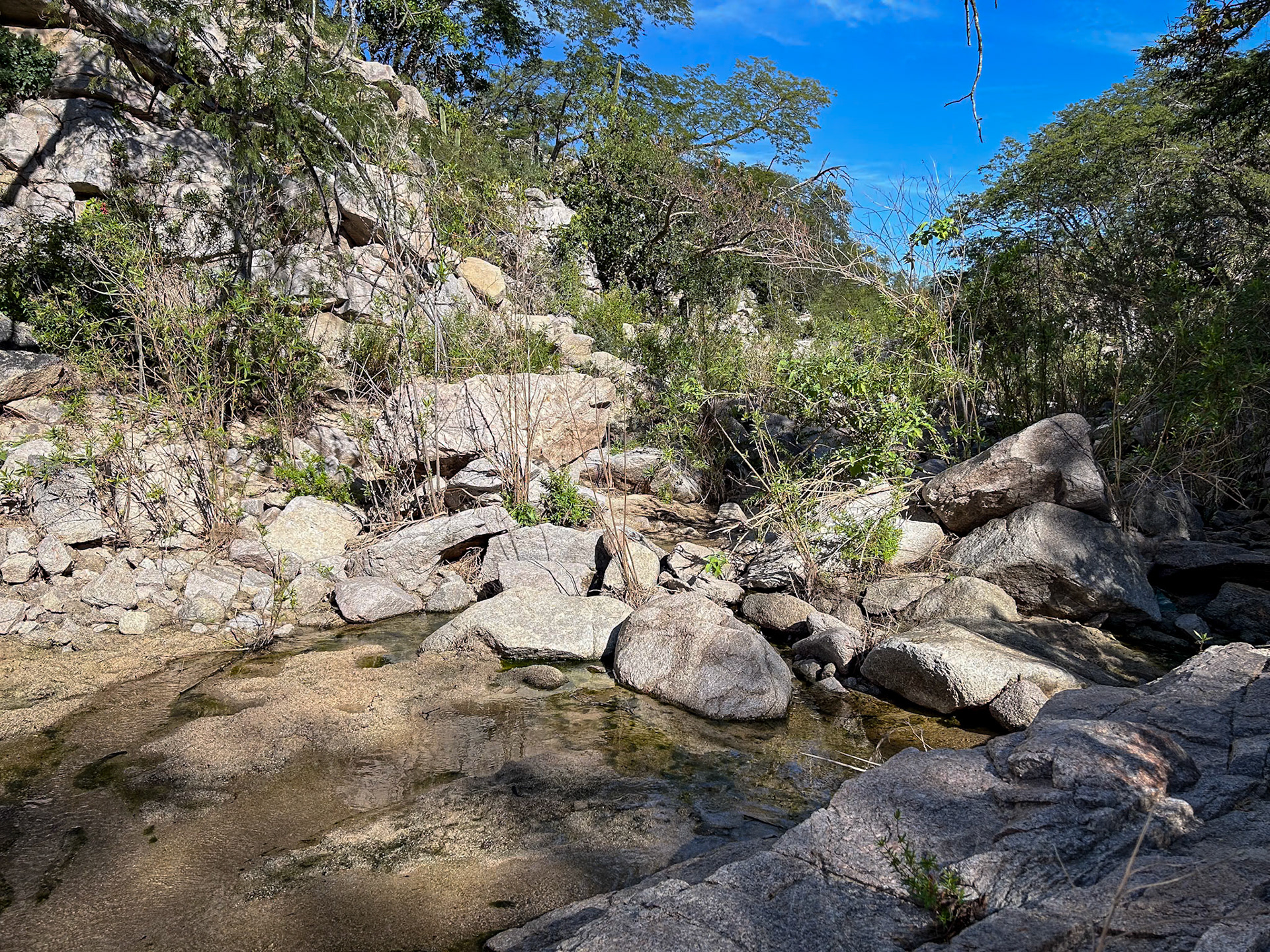 Arroyo Los Encinitos