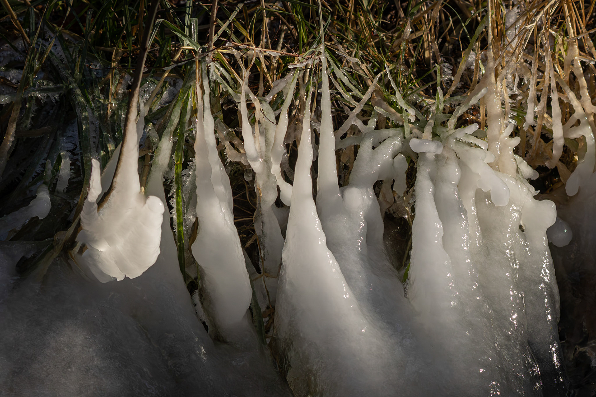 Ice on Wallowa River