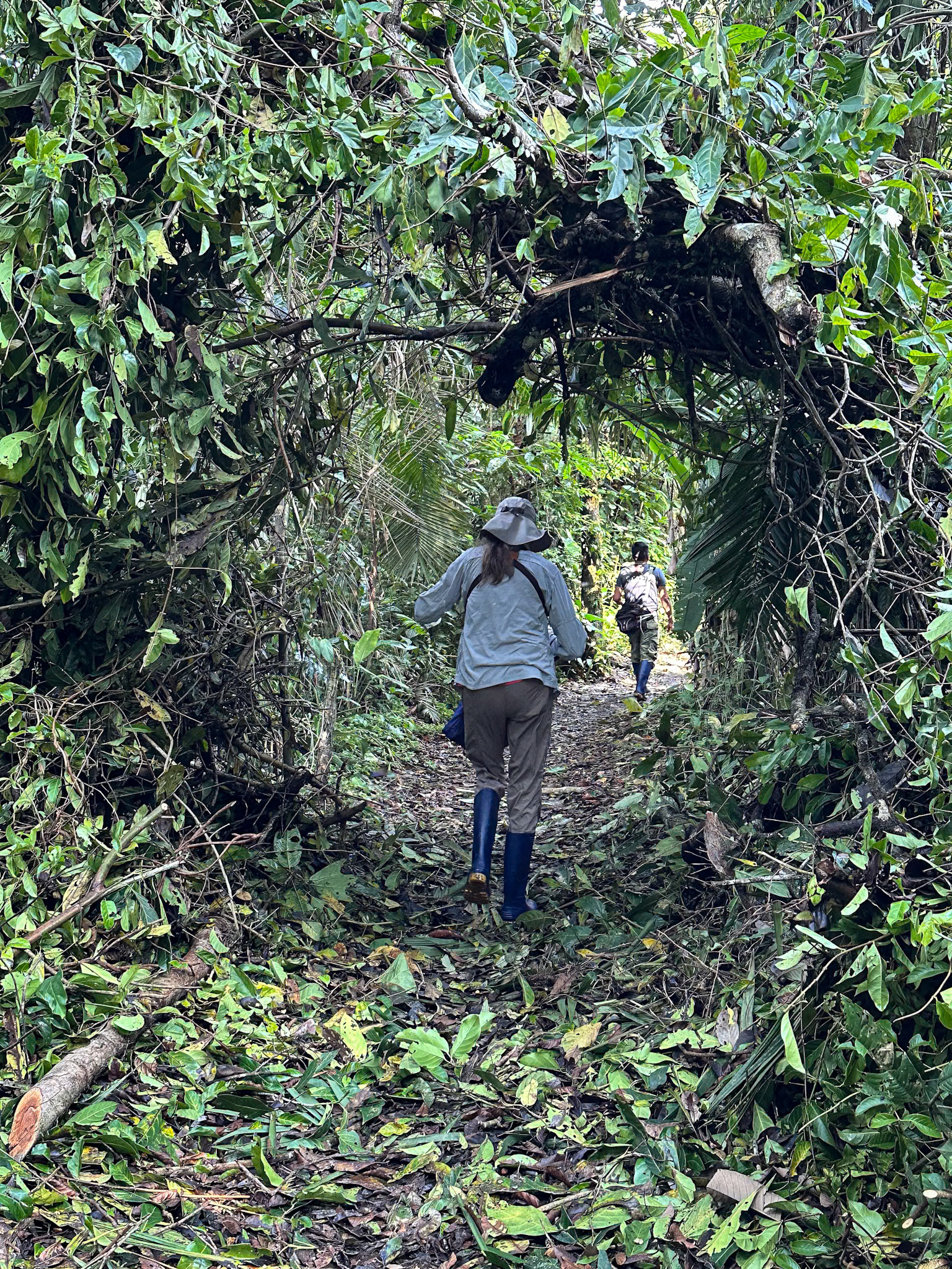 Along the trail to the boat dock.