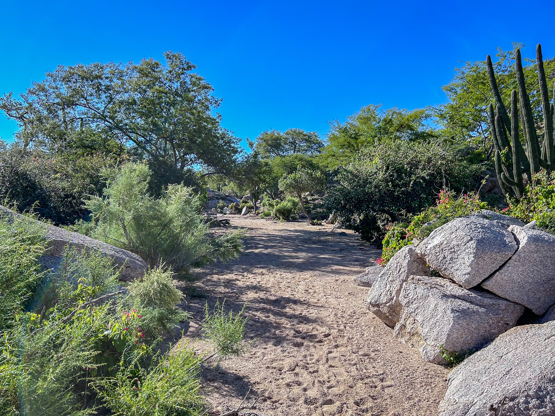 Arroyo Los Encinitos