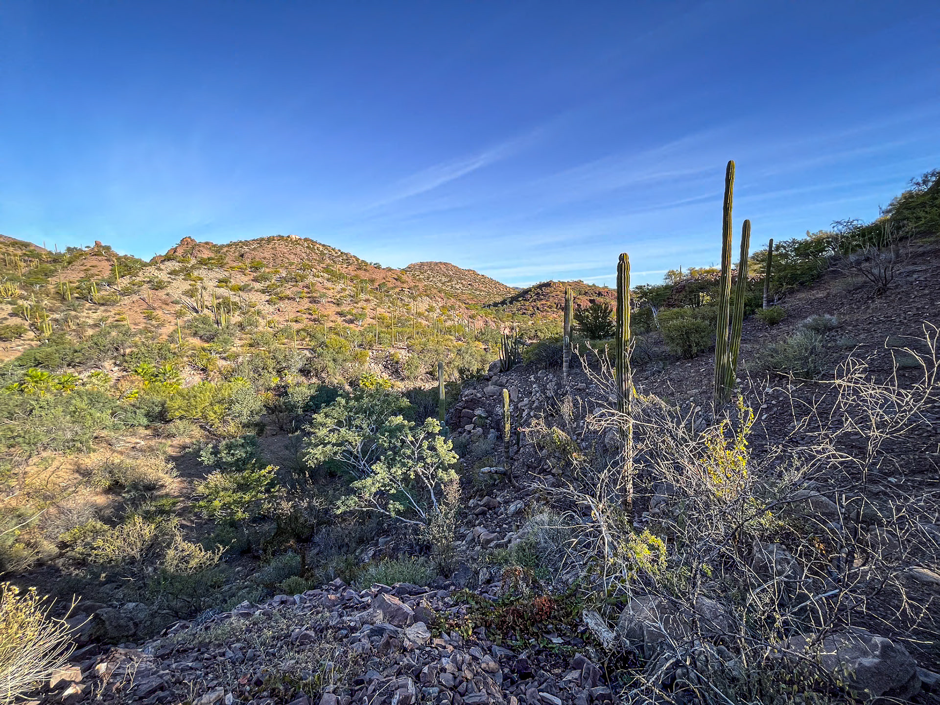 Sierra de la Giganta mountains