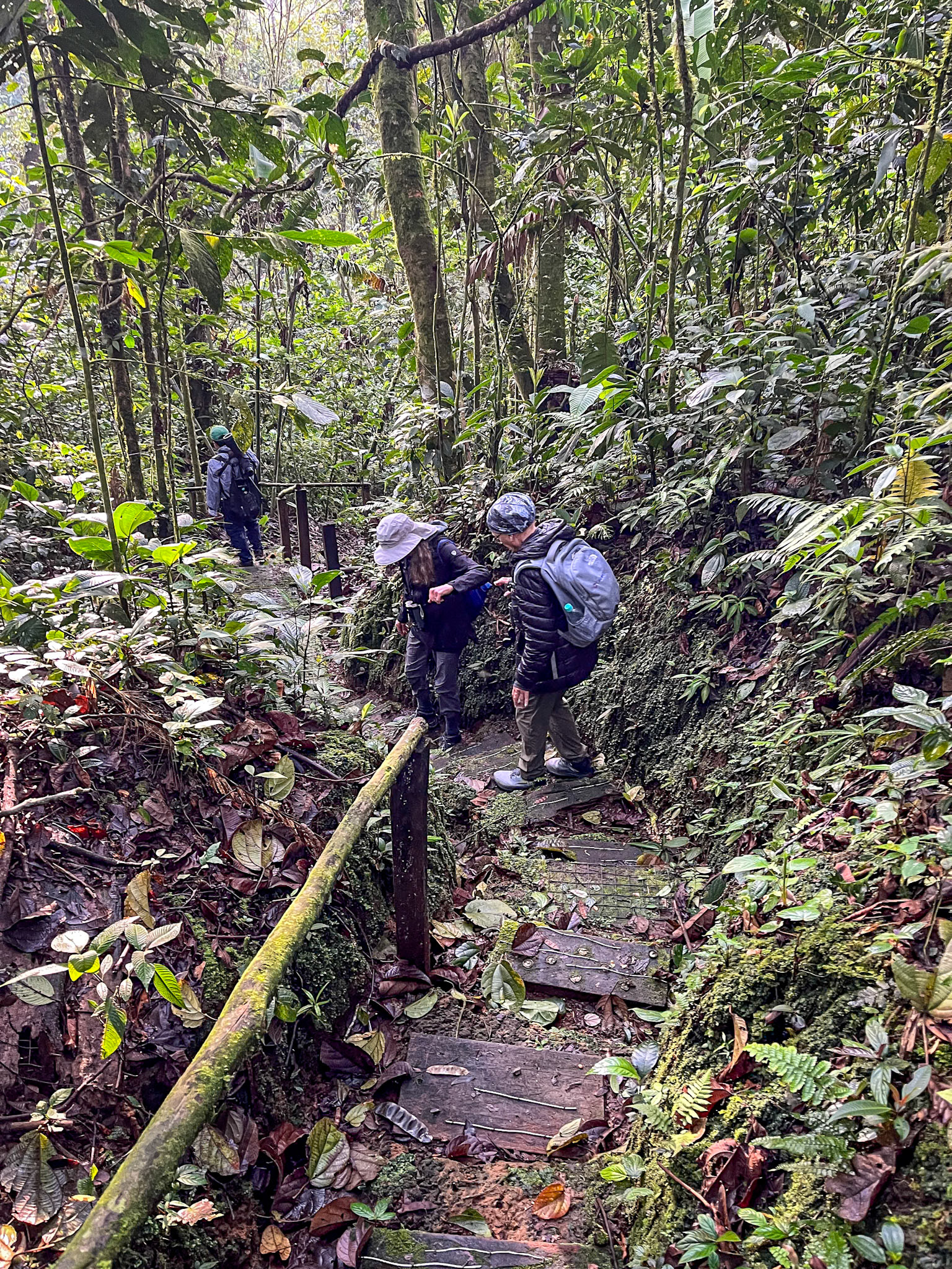 Birding Wild Sumaco Lodge &amp; Reserve