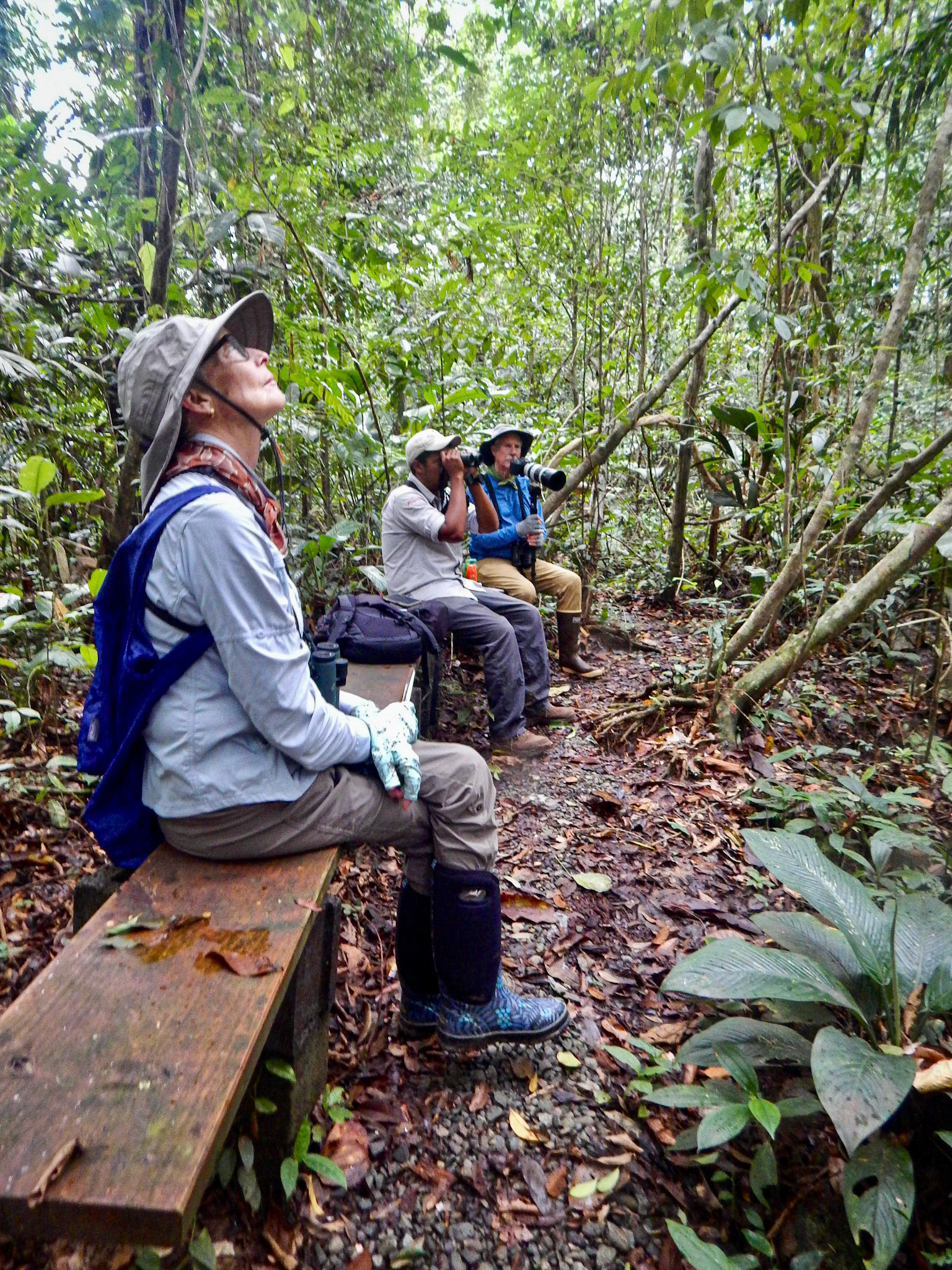 Waiting patiently for the hummers to visit "The Pool."