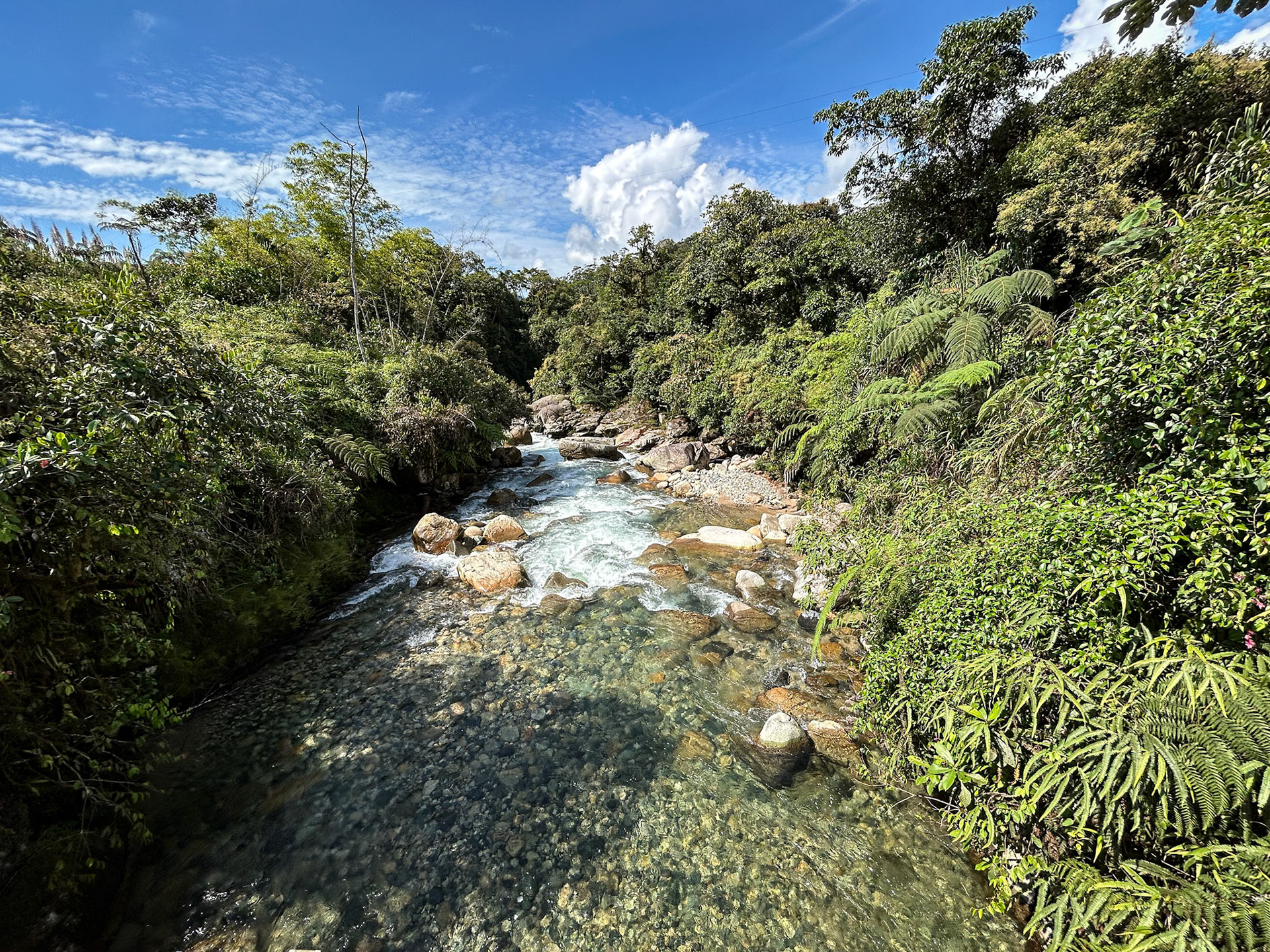 We stopped on most bridges looking for the Torrent Duck
