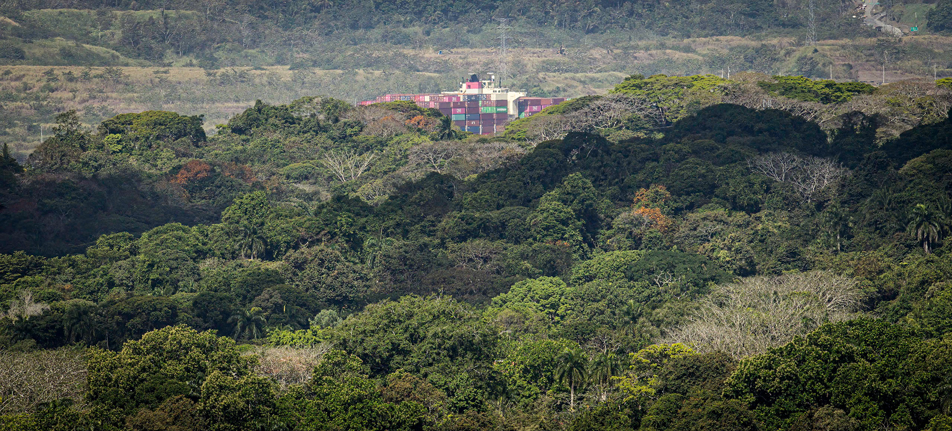 Container ship passing through the larger, newer canal in the rainforest.